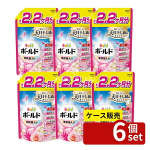 _r[TL^y 6Zbgz P&G {[hWF؂₩v~AubT̍߂pEgW{TCY [Pie/1580g] | {[h  {[h _ 