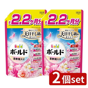 _r[TL^y2Zbgz P&G {[hWF؂₩v~AubT̍߂pEgW{TCY [Pie/1580g] | {[h  {[h _ 