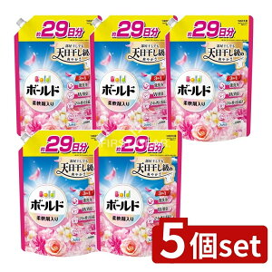 y5Zbgz P&G {[hWF؂₩v~AubT̍߂pTCY [Pie/690g] | P&G {[h  l֗p L 3in1  t̐ _ܓ p