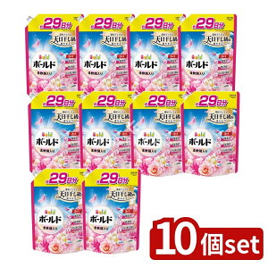 y10Zbgz P&G {[hWF؂₩v~AubT̍߂pTCY [Pie/690g] | P&G {[h  l֗p L 3in1  t̐ _ܓ p