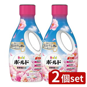 y2Zbgz P&G {[hWF؂₩v~AubT̍{ [Pie/680g] | {[h  {[h _ {[h t  t̐ t@u[Y mA 