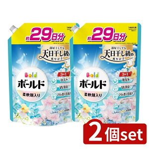 y2Zbgz P&G {[hWFu₩tbVt[T{̍߂pTCY [Pie/690g] | {[h  P&G _  t  L  1 t