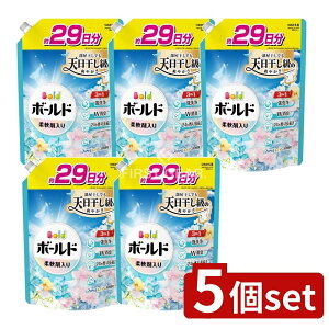 y5Zbgz P&G {[hWFu₩tbVt[T{̍߂pTCY [Pie/690g] | {[h  P&G _  t  L  1 t