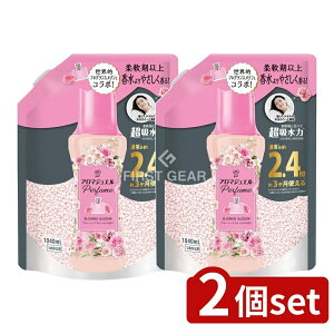 y2Zbgz P&G mAA}WG u[~OubT̍߂pTCY [Pie/1040ml] | mA nslX A}WG A} r[Y  _ tOX 