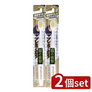 _r[TL^y2Zbgz GrX Ƀv~APA 炩 [Pie/1{] |  v~APA  uV 炩 A I[PA { GrX 