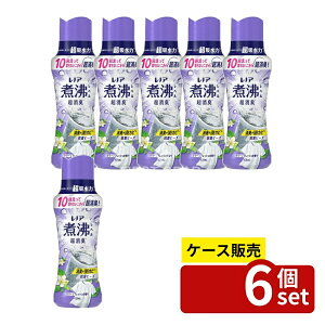 _r[TL^y 6Zbgz P&G mAϕxLRۃr[Y󑅂̖hJrN[tbV̍{ [Pie/420ml] | mA  PG L R r[Y _ 