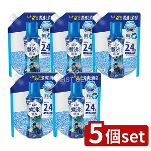 y5Zbgz P&G mAϕxLRۃr[Y X|[c N[tbV&VgX̍ ߂p [Pie/1040ml] | mA ϕxL r[Y SPORTS N[tbV