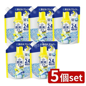 y5Zbgz P&G mAϕxLRۃr[Y ΂݃ubJ[ VgXzCg̍߂p [Pie/1040ml] | mA ϕL r[Y VgXzCg Lr[Y 