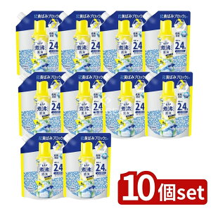 y10Zbgz P&G mAϕxLRۃr[Y ΂݃ubJ[ VgXzCg̍߂p [Pie/1040ml] | mA ϕL r[Y VgXzCg Lr[Y 