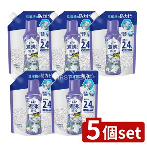 y5Zbgz P&G mAϕxLRۃr[Y 󑅂̖hJr N[tbV̍߂p [Pie/1040ml] | PG mA L Lr[Y N[tbV T