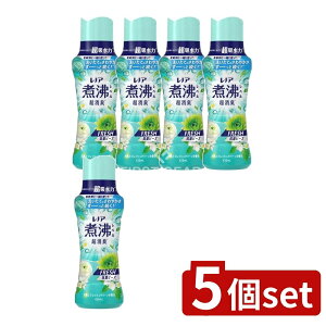 y5Zbgz P&G mAϕxLRۃr[Y݂݂tbVO[̍{ [Pie/420ml] | mA L R r[Y _ tOX Â tbVO