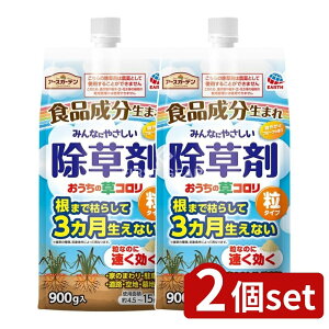 _r[TL^y2Zbgz A[X A[XK[f ̑R ^Cv [Pie/900g] | ZA[XK[f ̑R G  ^Cv ƒp 