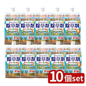 y10Zbgz A[X A[XK[f ̑R ^Cv [Pie/900g] | ZA[XK[f ̑R G  ^Cv ƒp   ԏ