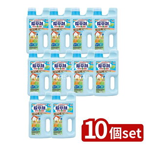 y10Zbgz A[X A[XK[f̑RWEwch [Pie/2000ml] |  A[X R WEwbh ɗD  n[u̍ ƒp