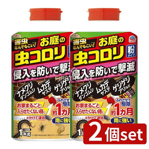 y2Zbgz A[X A[XK[f̒R^Cv [Pie/1kg] | A[XK[f R E ^Cv K[fjO  K[fpi p Vtg