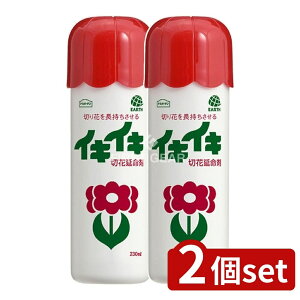 y2Zbgz A[X CLCL؉ԉ [Pie/230ml] | A[X ؉ԉ A[XK[f ؂ԉ ԉ ؂ԑNxێ ؂ԉh{ ԕrph{ ؂ԕی