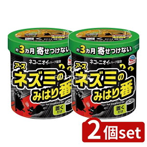 y2Zbgz A[X lY~݂̂͂(Q) [Pie/350g] | lY~쏜 lY~悯 lY~  A[X Q lY~݂̂͂ VR uȒP q 