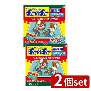 y2Zbgz A[X lY~zCzC `[oC`[ Ɩp [Pie/2] | lY~zCzC Ɩp A[X lY~ߊl ˂݃zCzC ^TCY S^Cv ͔S l