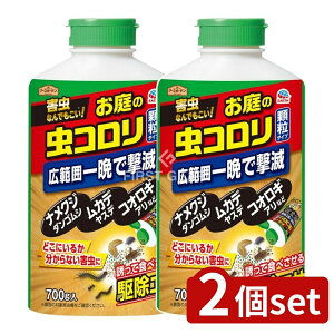 y2Zbgz A[X nCp[̒R [Pie/700g] | A[XK[f R zE |pQ ^Cv tČ ƒ؉ E ̊Q iNW 钎 W