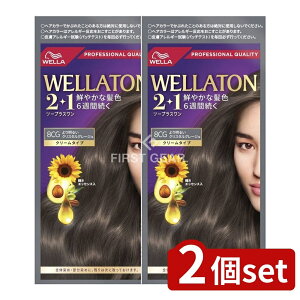 y2Zbgz EG EGg[2+1 N[^Cv 8CG [Pie/127g] | EGg[ N[ wAJ[ EGg[ 8CG wAJ[ 򕔊Oi F b`J[ 99AR F