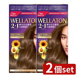 y2Zbgz EG EGg[2+1N[^Cv9CB [Pie/127g] | EGg[ wAJ[ N[^Cv EGg[  򕔊Oi N₩ȔF i`uE wA