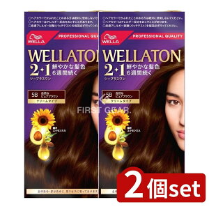 _r[TL^y2Zbgz EG EGg[c[vX N[^Cv 5B [Pie/120g] | EGg[ c[vX  N[ 򕔊Oi wAJ[ i 