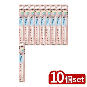 �y10�Z�b�g�z �G�r�X B-8067M �v���O���b�v�n�u���V type3 �ӂ� [���摜�̓C���[�W�ł��B���i���e:1�{×10] | �G�r�X �n�u���V �v���O���b�v �z���C�g�j���O ���u���V ���{�� �G�r�X������� 