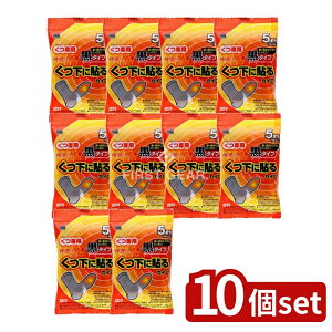 _r[TL^y10Zbgz IJg \񂭂p ^Cv [Pie/5] |  JC  \JC ^Cv  Cp ĝ M M ̉ { g