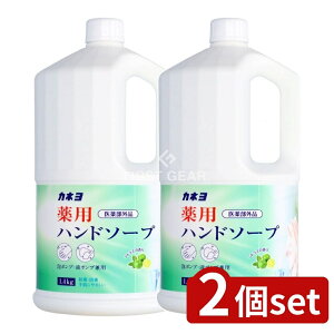 y2Zbgz JlΌ pnh\[v [Pie/1400g] | JlΌ nh\[v VgXΌ 򕔊Oi VgX̍ A|v nh\[v VgX  Ń^Cv t̃n