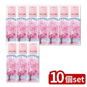 _r[TL^y10Zbgz J} Ԃv`  [Pie/40g] | J} Ԃ   Ȃ }[VAY J} ʔ Ϗܗp  