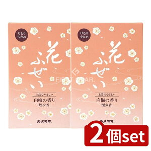 _r[TL^y2Zbgz J} Ԃӂ~  p^ [Pie/220g] | Ԃӂ ~   ~  p J}  R̍ { i F