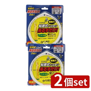 _r[TL^y2Zbgz JH SnG݂邷 [Pie/3] | nG RoG J S{ pnGߊl nG ݂邷 Sn