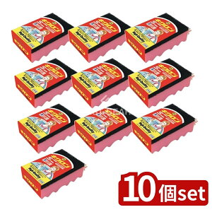 _r[TL^y10Zbgz LN LNA ~j [Pie/1] | LN X|W Lb`p 킵 ݂  R X|W q ϋv iCsDz pi L