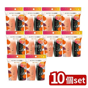 y10Zbgz NVG  ZWێPA Vv[&RfBVi[ ~jZbg [Pie/80ml] |  Vv[  RfBVi[ av~AGLX wAPA 