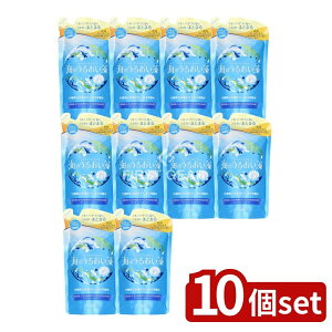 y10Zbgz NVG Ĉ邨 邨PAXCVv[l֗p [Pie/380ml] | NVG Vv[ Ĉ邨 XCVv[ ߂p C A