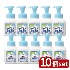 y10Zbgz T nh{ pAnh\[v { [Pie/300ml] | nh\[v nh{ 򕔊Oi Anh\[v T   邨 sAANA A؂ w