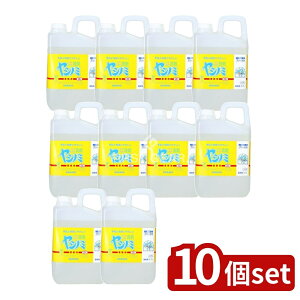 y10Zbgz T Vm~ Ɩp [Pie/2700g] | Vm~ Ɩp Hp ؐ  ɗD  VR  畆heXgς T