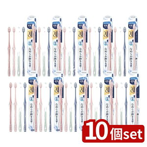 y10Zbgz TX^[ I[c[ v~A nuV Ȃ߂炩tBbg[RpNgEӂ] [Pie/1{] | TX^[ nuV Ora2 v~A Ȃ߂炩tBbg RpNg 