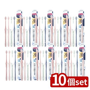 y10Zbgz TX^[ I[c[ v~A nuV Ȃ߂炩tBbg[RpNgEӂ] [Pie/1{] | I[c[ v~A nuV uV ӂ RpNg Ora2 