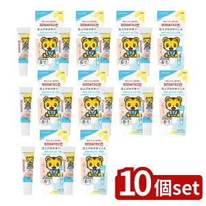 _r[TL^y10Zbgz TX^[ \_eRdグ݂WF [Pie/25g] | TX^[ dグ݂WF \_eR n~KL WF Ԃp tbfoX  