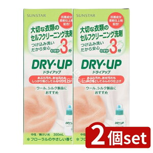 _r[TL^y2Zbgz TX^[ hCAbv { [Pie/300ml] | hCAbv  TX^[hCAbv  ߗޗp ȒP pi t[ 