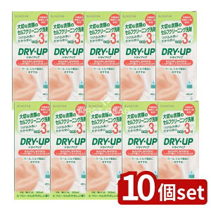 y10Zbgz TX^[ hCAbv { [Pie/300ml] | hCAbv  TX^[hCAbv  ߗޗp ȒP pi t[ ƒp y 