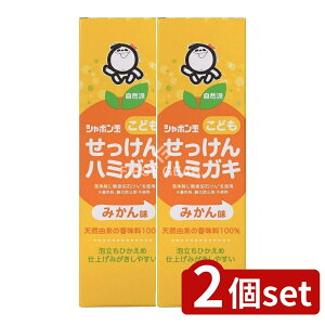 y2Zbgz V{ʐ΂ V{ʂǂn~KL [Pie/50g] | V{ ǂn~KL ݂͂ ݂ q n~KL qp n~