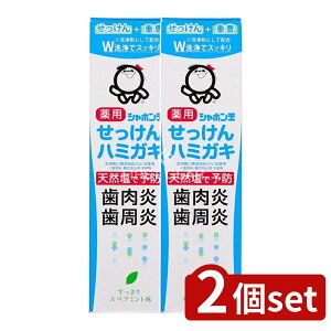 y2Zbgz V{ʐ΂ V{ʖpn~KL [Pie/80g] | V{  򕔊Oi VR ڂʂ ݂͂ V{ʂ  V