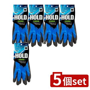 _r[TL^y5Zbgz V[ HOLD^OtM [Pie/1] | V[O[u tR[g V[ HOLD   Ɨp ~ߎ _ tBbg 