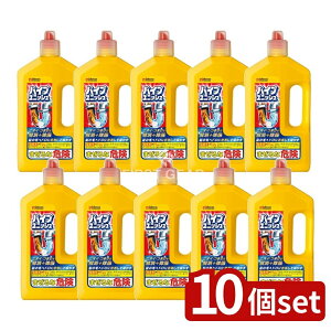 _r[TL^y10Zbgz W\ pCvjbV [Pie/800g] | pCvN[i[ pCvjbV rN[i[ r   | C| r| r