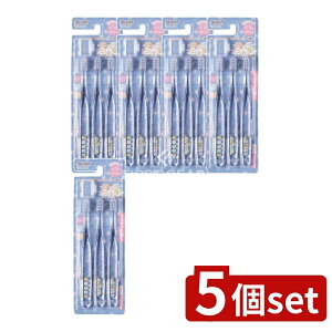 _r[TL^y5Zbgz XP[^[ NAuV ݂R炵 󂳂 TBCR6T [Pie/3{] | XP[^[ uV NA ݂R炵 w uVZbg L