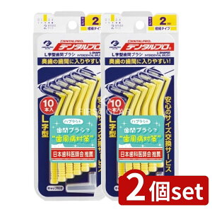 y2Zbgz f^v f^vԃuVL^TCY2 [Pie/10{] | f^v ԃuV L^ I[PA C   ` i gѕ֗ nh 2FWJ 