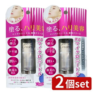 y2Zbgz Oaʏ }CNj[heN[ [Pie/25g] | je j[hN[ }CNj[hN[ XLPA c 邨 ێ  eN[ ێN