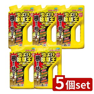 _r[TL^y5Zbgz t}L[ J_܂Ō͂炷悯v~A [Pie/2L] | t}L[ 悯  v~A OzT[g  yS_ gX